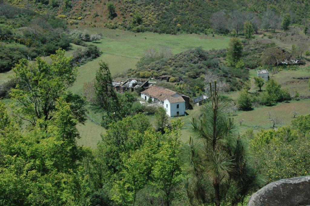 Foto de Cortijo de Calderetas en Valleseco, Las Palmas